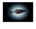 American Alligator Head Above Water Wildlife Photography Print | Tiny Desk Photos No. 37