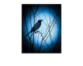 Common Grackle Perched Silhouette Wildlife Photography Print | Tiny Desk Photos No. 77