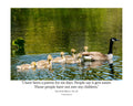 Canada Goose Family Wildlife Photography Print | Tiny Desk Photos No. 131