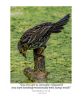 Red-winged Blackbird Wildlife Photography Print | Tiny Desk Photos No. 114