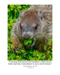 Groundhog Wildlife Photography Print | Tiny Desk Photos No. 123
