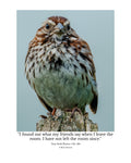 Song Sparrow Wildlife Photography Print | Tiny Desk Photos No. 166