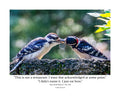 Downy Woodpecker Wildlife Photography Print | Tiny Desk Photos No. 179