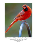 Northern Cardinal Wildlife Photography Print | Tiny Desk Photos No. 182