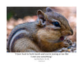Eastern Chipmunk Wildlife Photography Print | Tiny Desk Photos No. 183