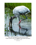 Wood Stork Wildlife Photography Print | Tiny Desk Photos No. 194