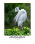 Great Egret Wildlife Photography Print | Tiny Desk Photos No. 197