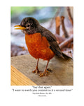 American Robin Wildlife Photography Print | Tiny Desk Photos No. 200