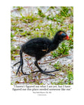 Common Gallinule Chick Wildlife Photography Print | Tiny Desk Photos No. 212