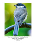 Black-capped Chickadee Wildlife Photography Print | Tiny Desk Photos No. 214