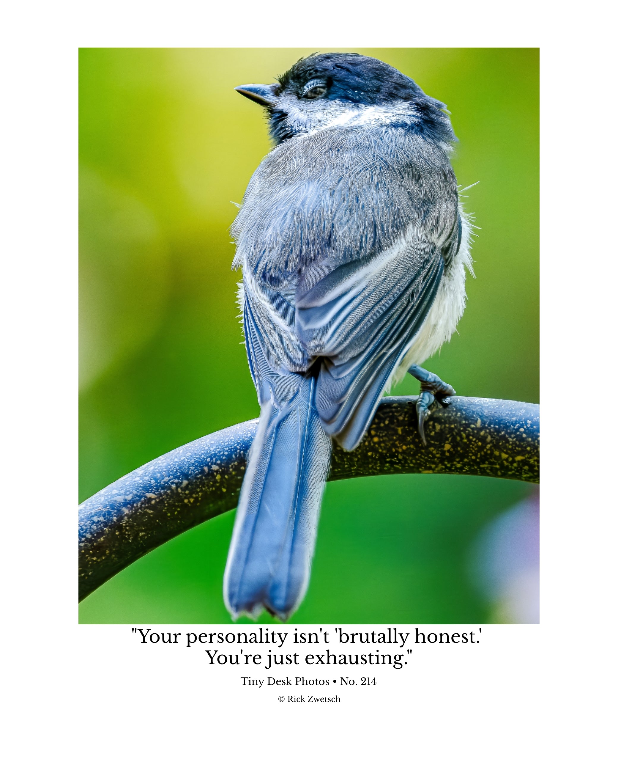 Black-capped Chickadee Wildlife Photography Print | Tiny Desk Photos No. 214