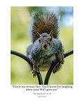 Eastern Gray Squirrel Wildlife Photography Print | Tiny Desk Photos No. 22