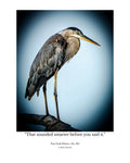 Great Blue Heron Wildlife Photography Print | Tiny Desk Photos No. 225