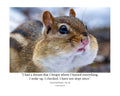 Eastern Chipmunk Wildlife Photography Print | Tiny Desk Photos No. 23