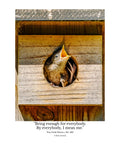 House Wren Nestling Wildlife Photography Print | Tiny Desk Photos No. 232