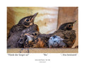 American Robin Fledglings Wildlife Photography Print | Tiny Desk Photos No. 233