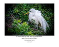 Great Egret Wildlife Photography Print | Tiny Desk Photos No. 24