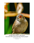 House Wren Wildlife Photography Print | Tiny Desk Photos No. 241
