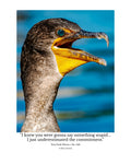 Double-crested Cormorant Wildlife Photography Print | Tiny Desk Photos No. 246