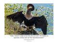 Double-crested Cormorant Wildlife Photography Print | Tiny Desk Photos No. 25