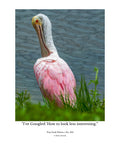 Roseate Spoonbill Wildlife Photography Print | Tiny Desk Photos No. 252