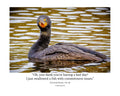 Double-crested Cormorant Wildlife Photography Print | Tiny Desk Photos No. 26