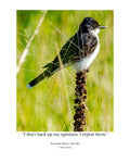 Eastern Kingbird Wildlife Photography Print | Tiny Desk Photos No. 264