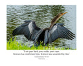 Anhinga Wings Spread Wildlife Photography Print | Tiny Desk Photos No. 36