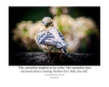 Juvenile Songbird Wildlife Photography Print | Tiny Desk Photos No. 63