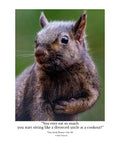 Fox Squirrel Portrait Wildlife Photography Print | Tiny Desk Photos No. 98