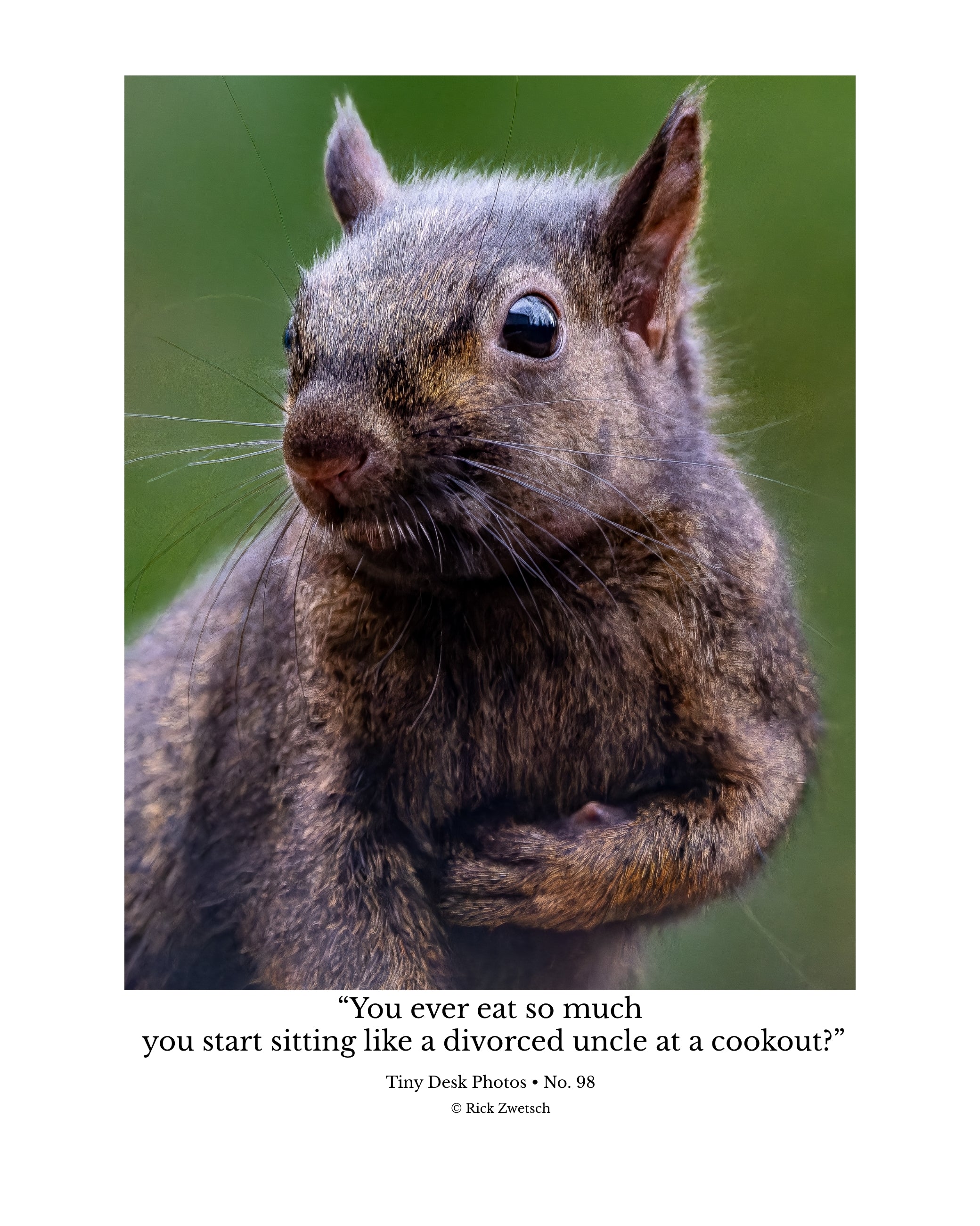 Fox Squirrel Portrait Wildlife Photography Print | Tiny Desk Photos No. 98