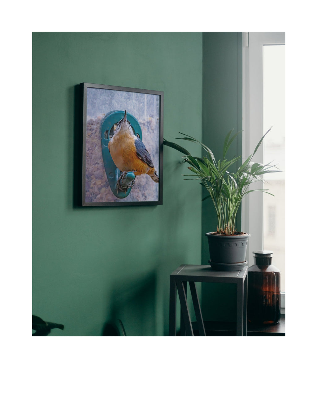 Tiny Desk Photos • No. 15 | Red-breasted Nuthatch | Perspective