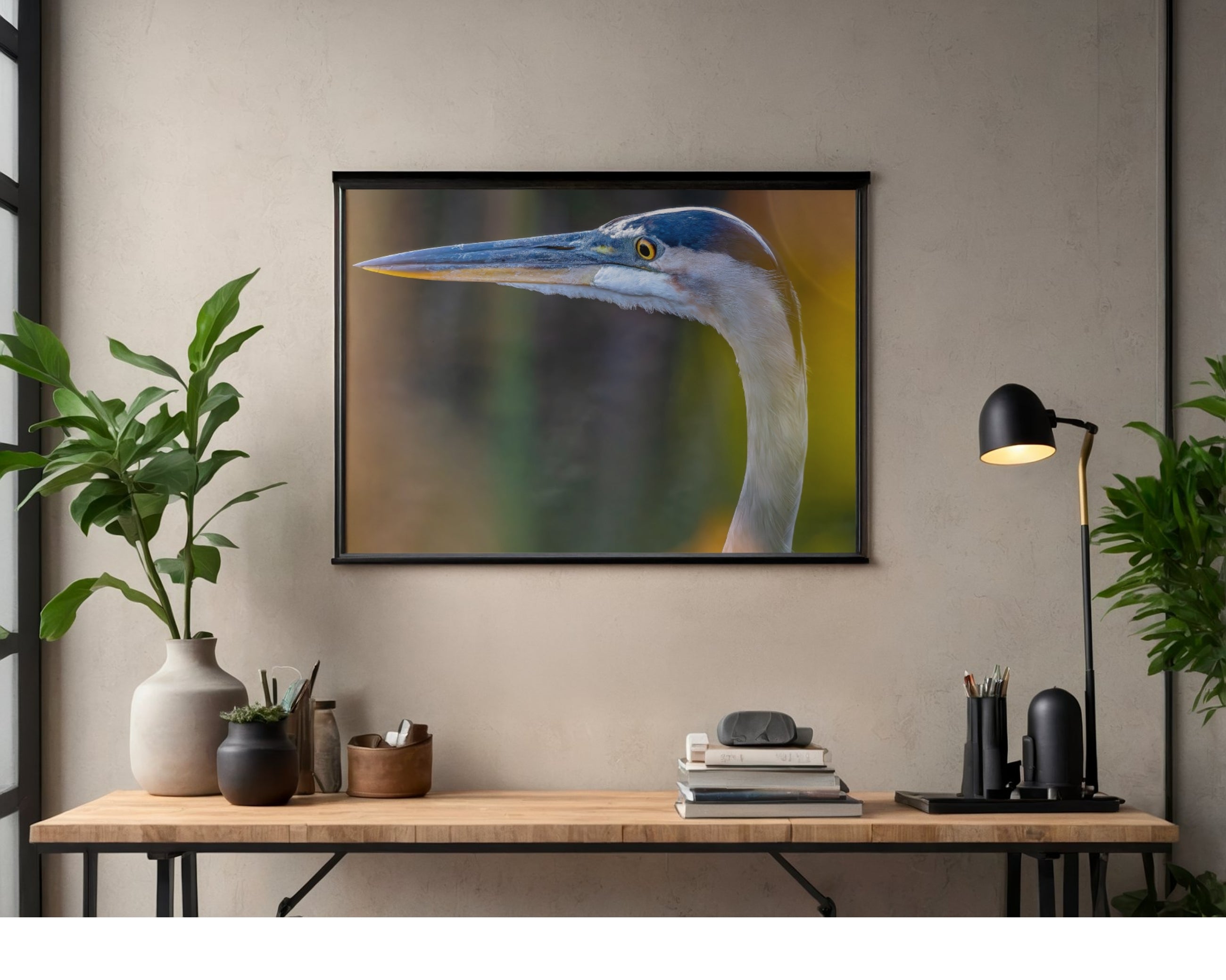 Tiny Desk Photos • No. 17 | Great Blue Heron | Judgment