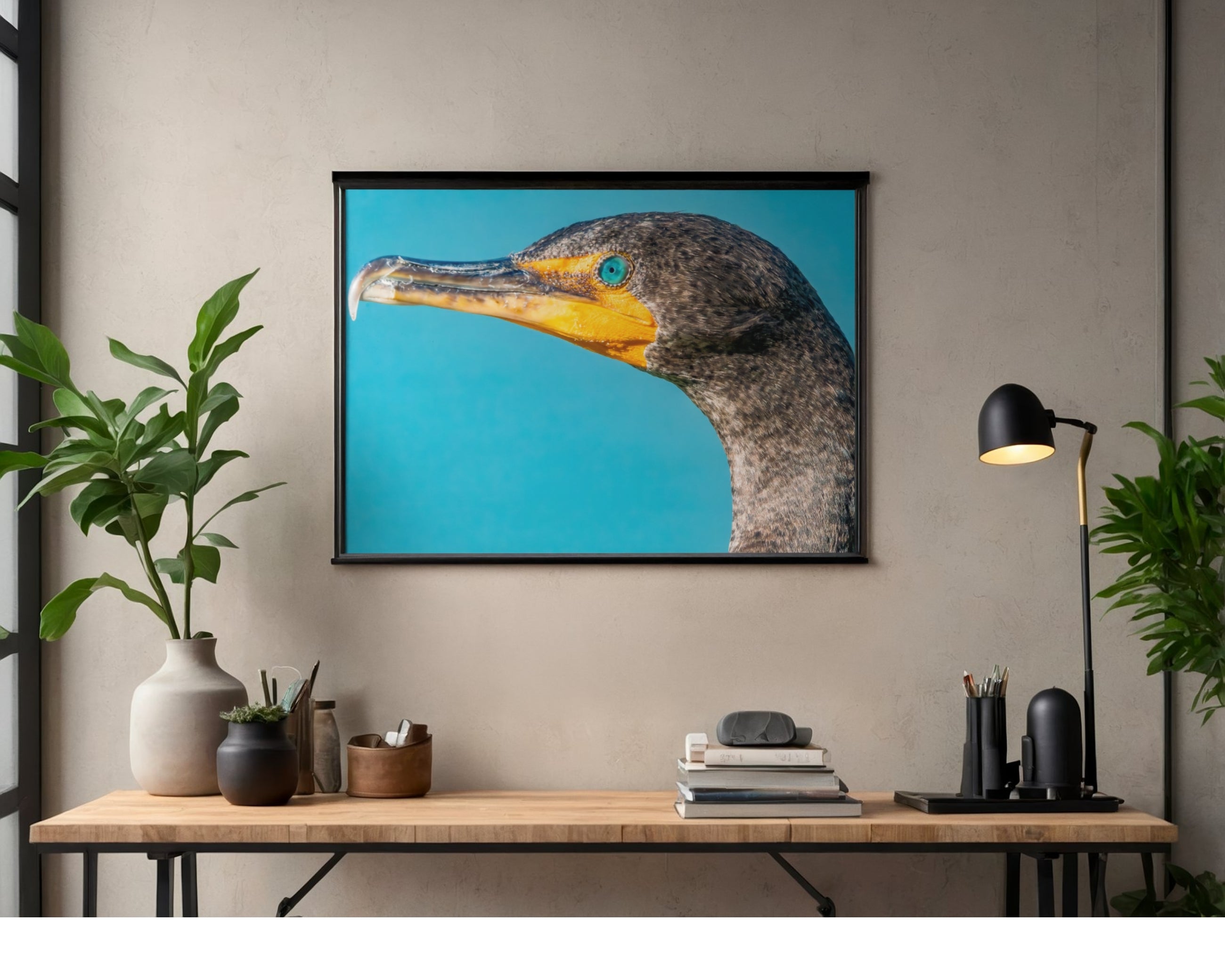 Tiny Desk Photos • No. 19 | Double-crested Cormorant | Confidence