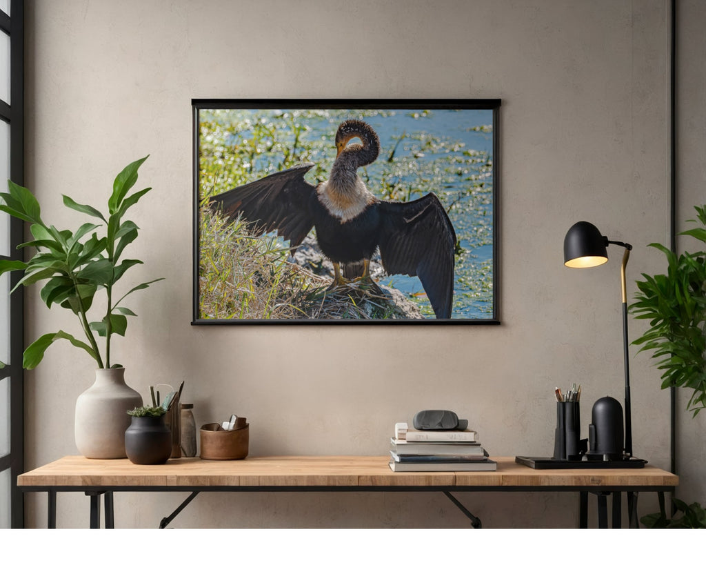 Double-crested Cormorant Wildlife Photography Print | Tiny Desk Photos No. 25