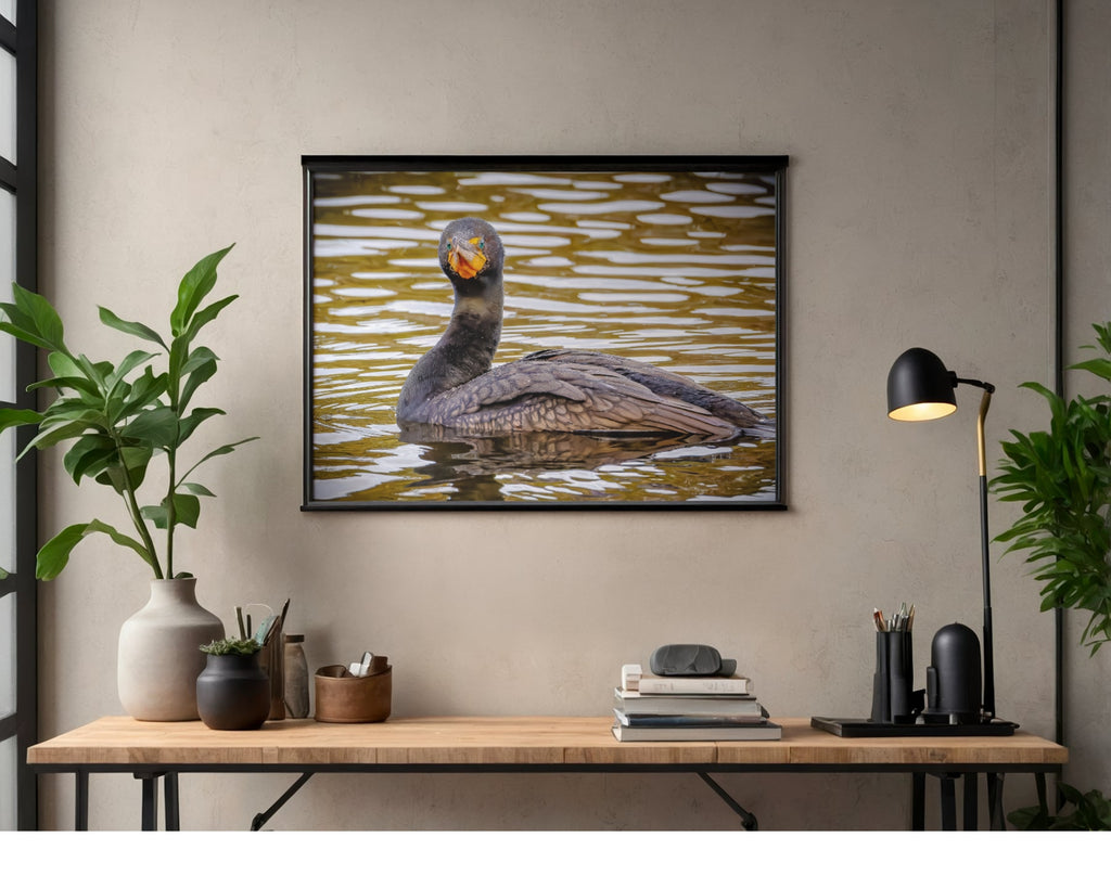 Double-crested Cormorant Wildlife Photography Print | Tiny Desk Photos No. 26