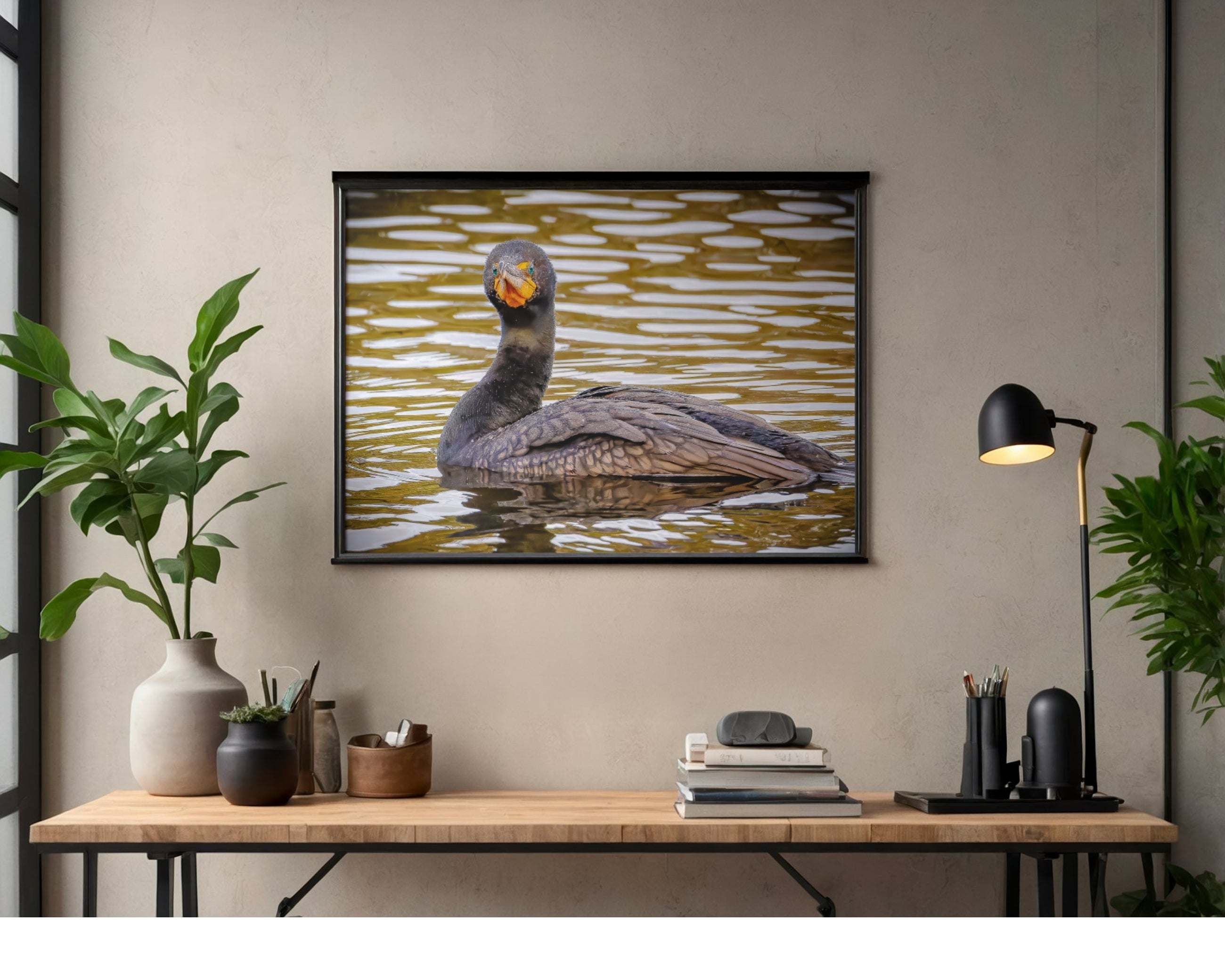 Double-crested Cormorant Wildlife Photography Print | Tiny Desk Photos No. 26