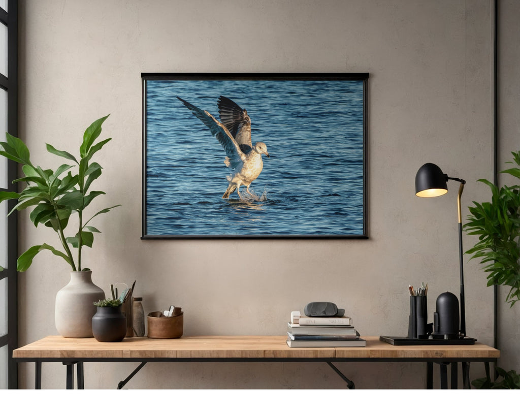 Ring-billed Gull Water Landing Wildlife Photography Print | Tiny Desk Photos No. 28