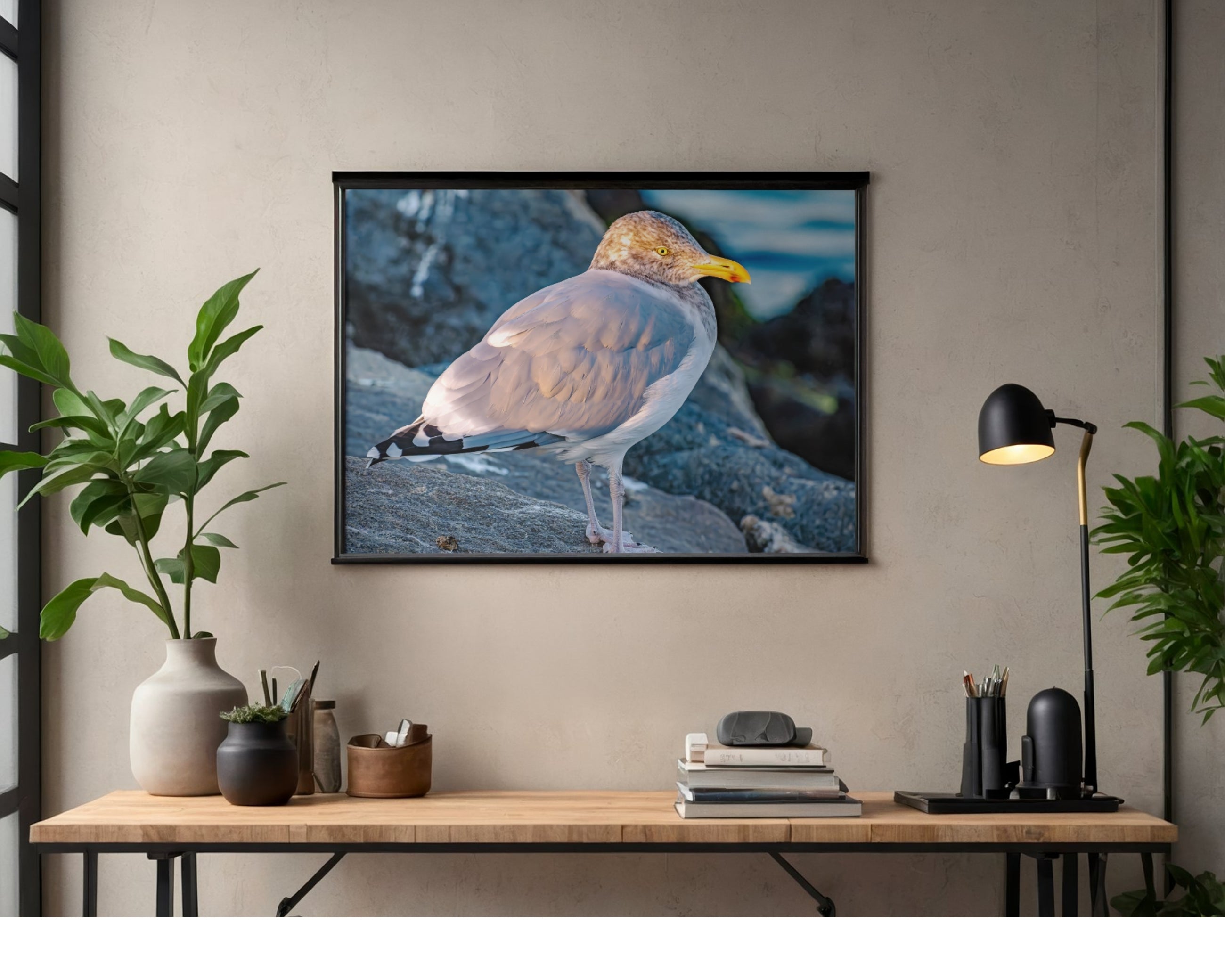 Ring-billed Gull Rock Perch Wildlife Photography Print | Tiny Desk Photos No. 31