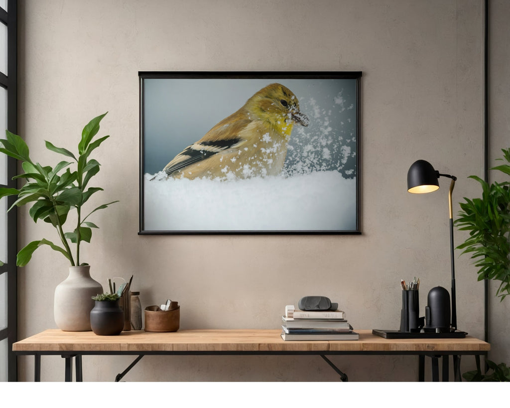 American Goldfinch Snow Wildlife Photography Print | Tiny Desk Photos No. 32