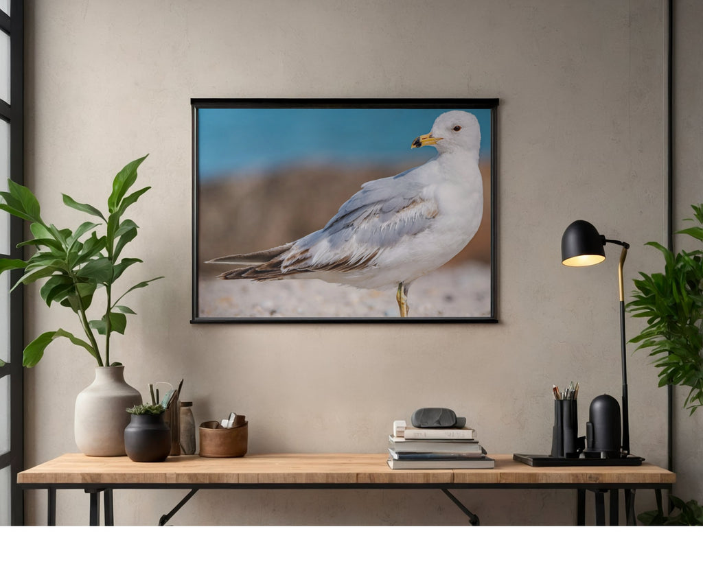 Ring-billed Gull Beach Profile Wildlife Photography Print | Tiny Desk Photos No. 34