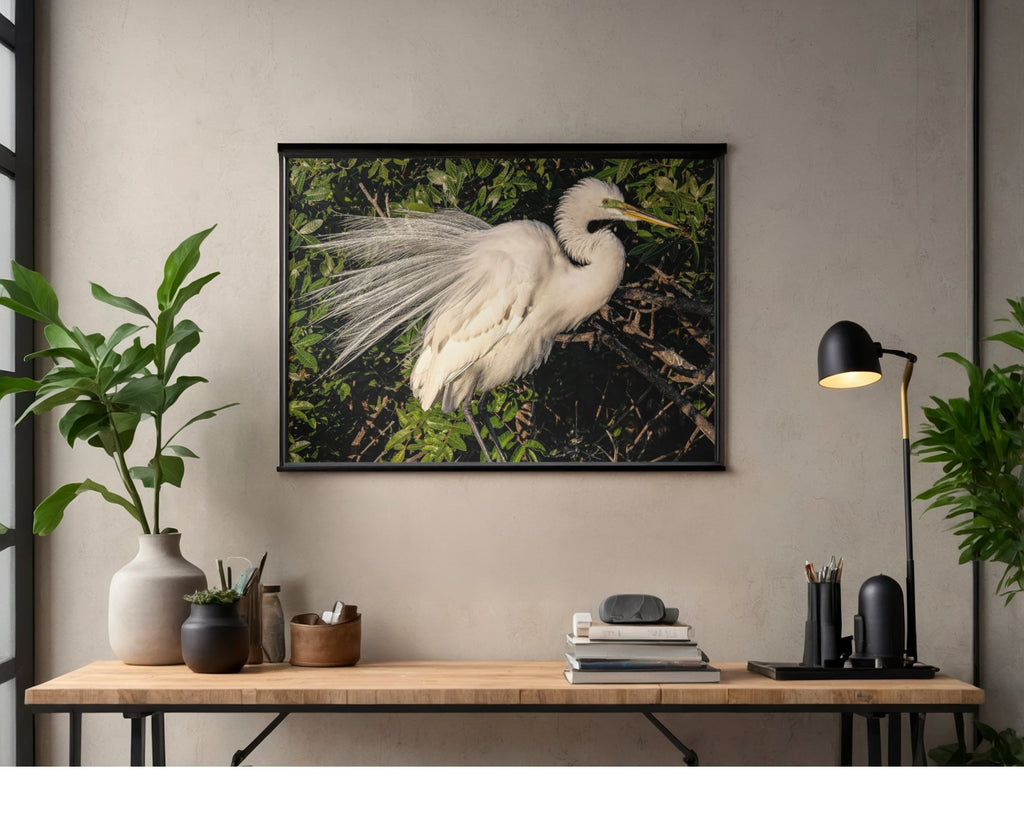 Great Egret Breeding Plumage Wildlife Photography Print | Tiny Desk Photos No. 35