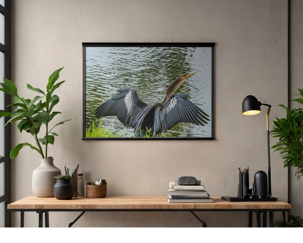 Anhinga Wings Spread Wildlife Photography Print | Tiny Desk Photos No. 36