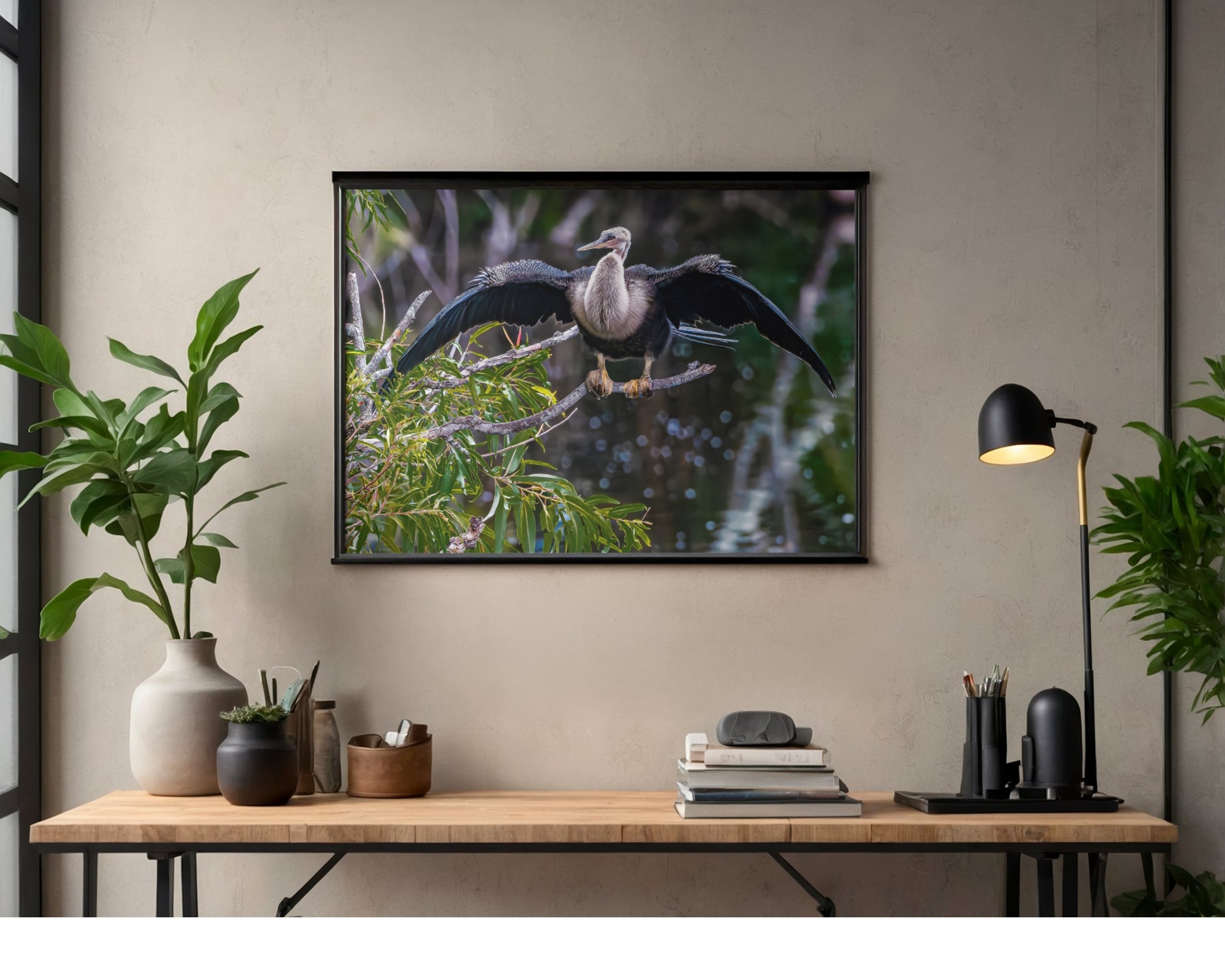 Anhinga Wings Outstretched Wildlife Photography Print | Tiny Desk Photos No. 41