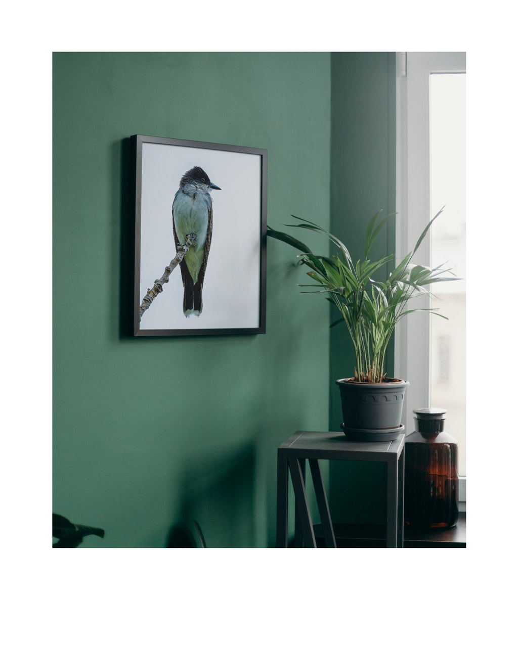 Eastern Kingbird Perched Wildlife Photography Print | Tiny Desk Photos No. 45