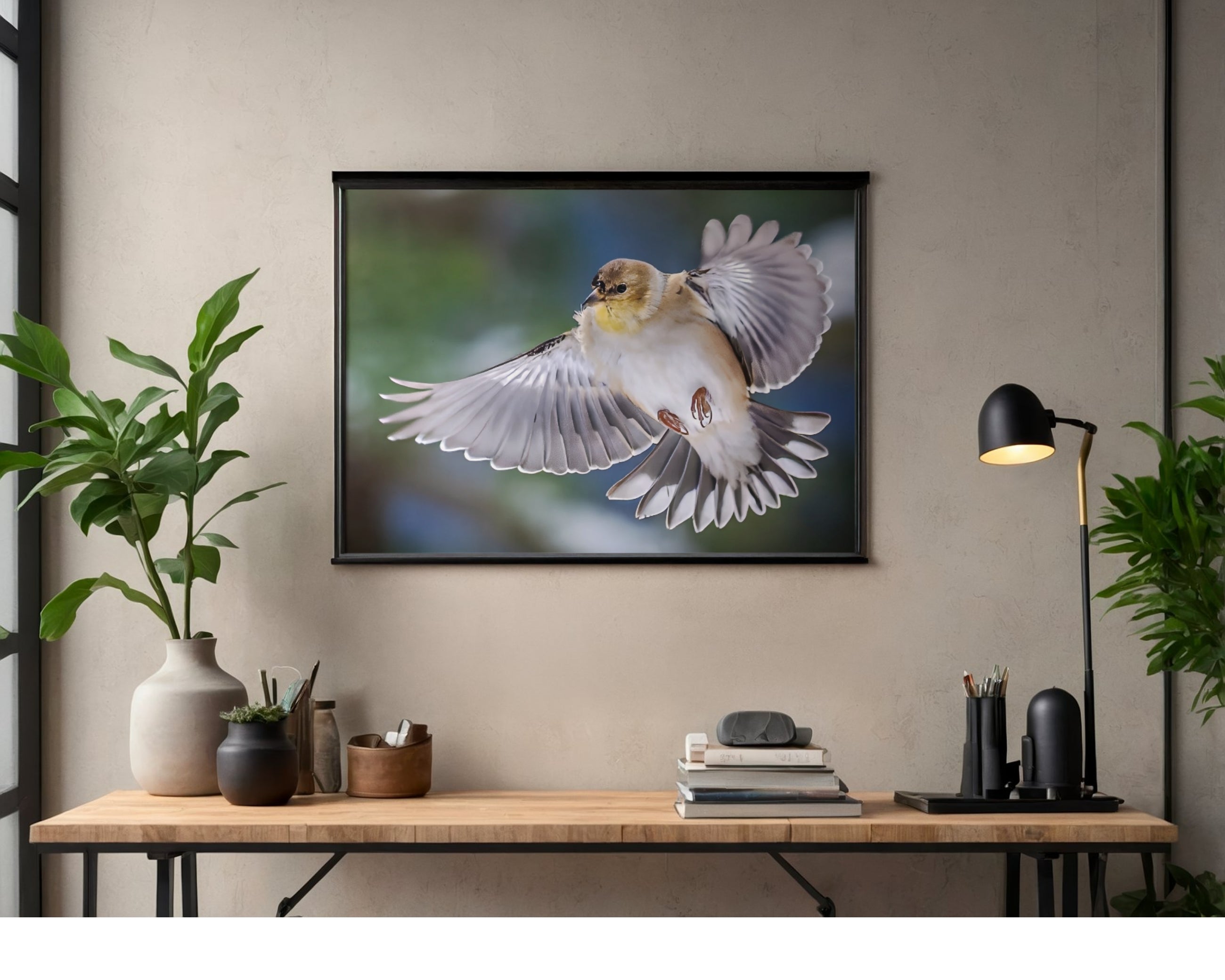 American Goldfinch Mid Air Flight Wildlife Photography Print | Tiny Desk Photos No. 49