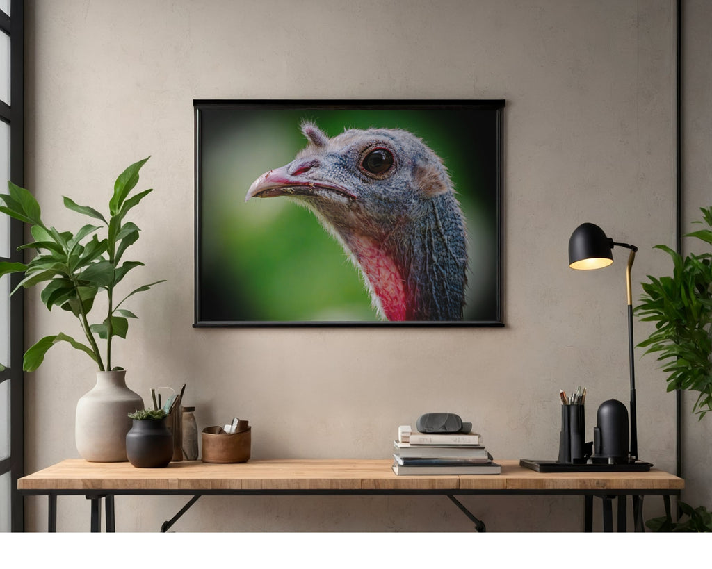 Wild Turkey Close Up Portrait Wildlife Photography Print | Tiny Desk Photos No. 51