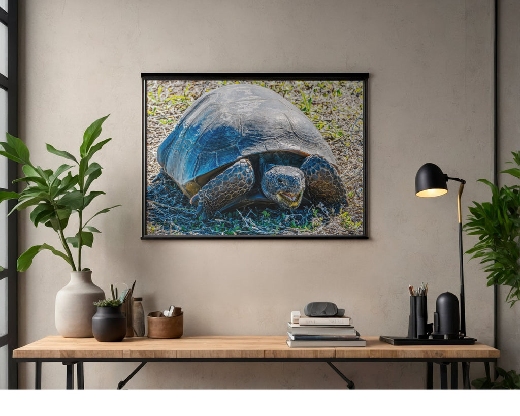 Gopher Tortoise Ground Portrait Wildlife Photography Print | Tiny Desk Photos No. 59