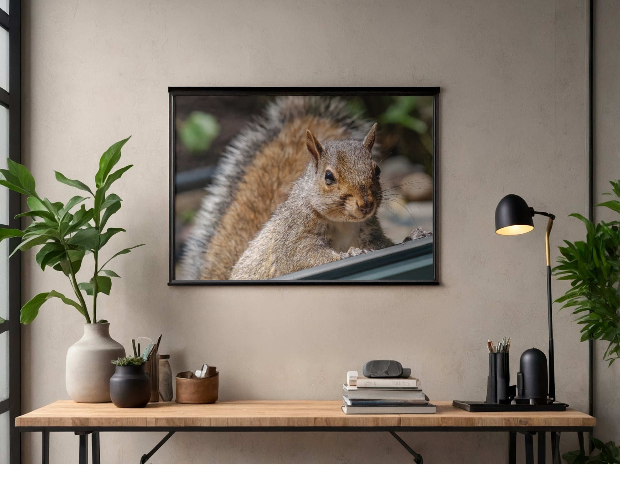 Tiny Desk Photos • No. 6 | Eastern Gray Squirrel | Disdain