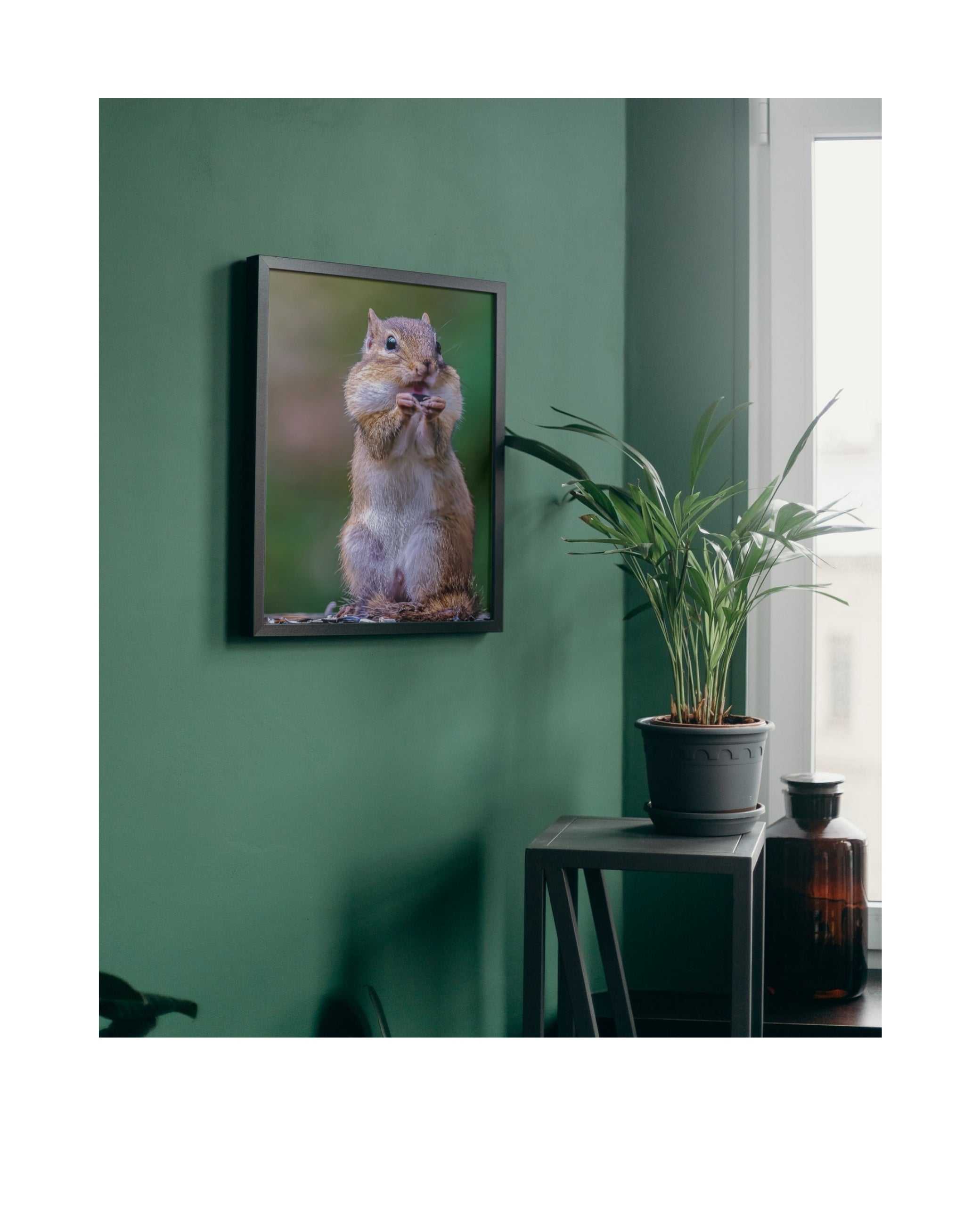 Eastern Chipmunk Wildlife Photography Print | Tiny Desk Photos No. 61